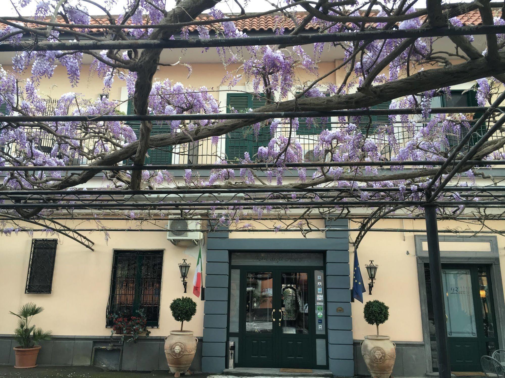 Hotel Degli Amici Πομπηία Εξωτερικό φωτογραφία